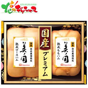日本ハム 美ノ国ギフト UKI-55 ギフト 贈り物 お礼 内祝い 出産祝い お祝い プレゼント 肉 加工品 ハム グルメ セット 詰め合わせ 人気  お取り寄せ