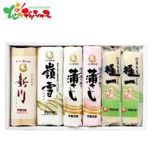 宇部かま 新・蒲鉾セット 2022 お歳暮 御歳暮 お年賀