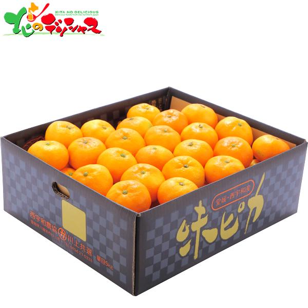 愛媛県産 JA西宇和 味ぴかみかん (5kg) 2025 冬ギフト お歳暮 ギフト 贈り物 お祝い ...