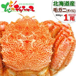 【完売御礼】カニ 北海道産 毛ガニ 1尾 800g×1 (姿/ボイル冷凍) 特大 海鮮 ボイル けがに 毛蟹 ギフト 贈り物 お祝い お礼 のし 北海道 グルメ お取り寄せ｜g-hokkaido