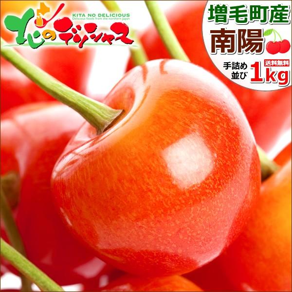 【予約】北海道 増毛産 さくらんぼ 南陽 1kg (JA共撰/秀品/2L/500g×2/手詰め/クー...