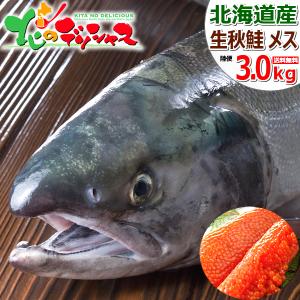 【予約】北海道産 生秋鮭 3.0kg (メス 筋子付き/冷蔵品...