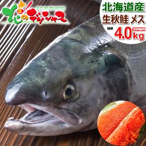 【予約】北海道産 生秋鮭 4.0kg (メス 筋子付き/冷蔵品...