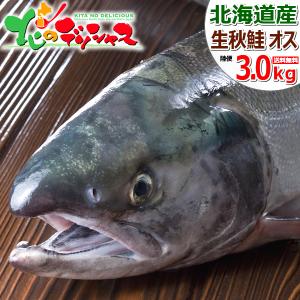 【予約】北海道産 生秋鮭 3.0kg (オス/冷蔵品) 限定 秋...