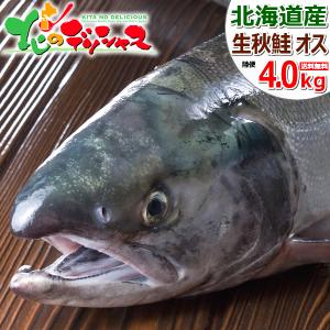 北海道産直★秋鮭生筋子(1kg)鮮度抜群 北海道産直☆秋鮭生筋子(1kg)鮮度抜群