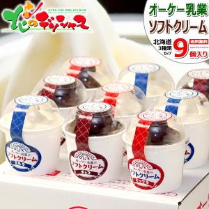 【完売御礼】オーケー乳業のソフトクリーム (3種9個入り) ソフトクリーム アイス スイーツ お中元 ギフト 贈り物 お祝い プレゼント 北海道 お取り寄せ