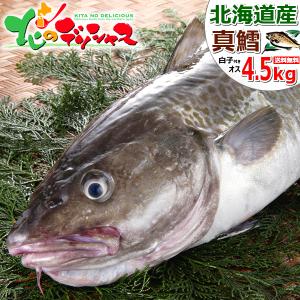 【予約】北海道産 天然 真鱈 (マダラ) 1本 約4.5kg (オス/白子/冷蔵品) 冬の味覚 真タラ 真たら まだら 白子 しらこ 鮮魚 北海道 グルメ お取り寄せ｜g-hokkaido