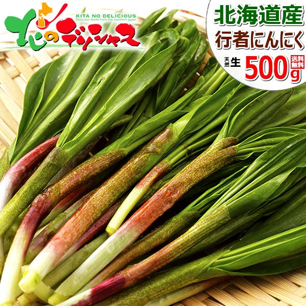 【予約】北海道産 山菜 行者にんにく 500g (食用) 天然 希少 品薄 高値 高騰 行者ニンニク...