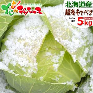 【予約】北海道 和寒町産 越冬キャベツ 5kg (JA共撰/2玉〜3玉入り) わっさむ 雪の下キャベツ 冬キャベツ 越冬野菜 ギフト グルメ 北海道 お取り寄せ｜g-hokkaido