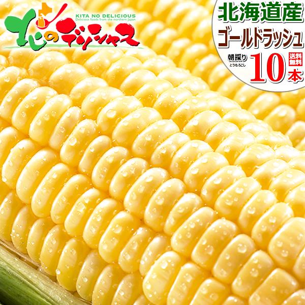【予約】北海道産 とうもろこし ゴールドラッシュ 10本入り (冷蔵便) 朝採り トウモロコシ スイ...