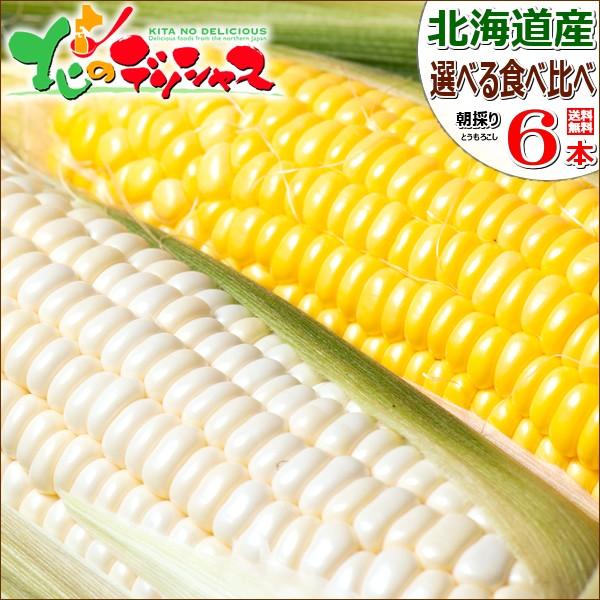 【予約】北海道産 とうもろこし 食べ比べ 選べる 6本セット (冷蔵便) 朝採り トウモロコシ とう...