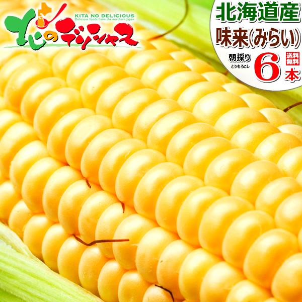 【予約】北海道産 とうもろこし 味来 6本入り (冷蔵便) 旬 朝採り トウモロコシ とうきび スイ...