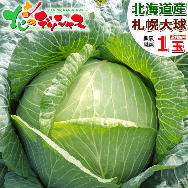 【予約】北海道産 キャベツ 札幌大球 10kg (JA共撰/9kg〜12kg) 札幌 札幌伝統野菜 ...