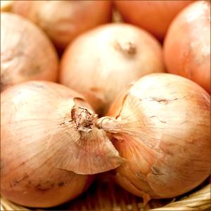 【予約】北海道産 新玉 玉ねぎ 10kg (J...の詳細画像5