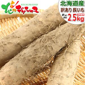 出荷中】長いも 北海道産 訳あり 長芋 5kg (掘りキズ・折れ・奇形・小
