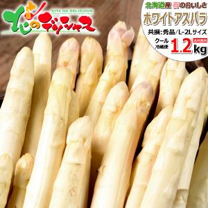 出荷中】 北海道産 アスパラガス ホワイトアスパラ 600g (共撰/L 出荷中】 北海道産 アスパラガス ホワイトアスパラ 600g (共撰/L