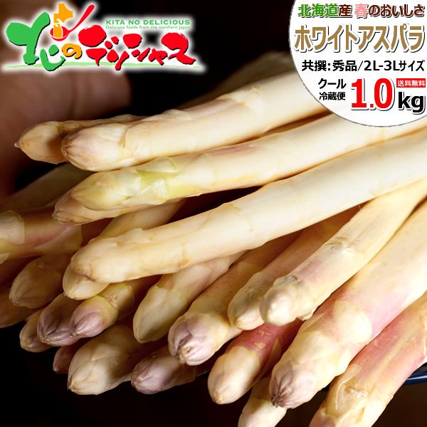 【予約】北海道産 ご家庭用 ホワイトアスパラ 1kg (共撰/2L-3Lサイズ) 訳あり 特大 極太...