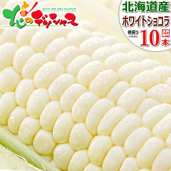 【予約】北海道産 とうもろこし ホワイトショコラ 10本入り (冷蔵便) 朝採り トウモロコシ スイ...