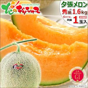 【予約】お中元 メロン 夕張メロン 1玉入り (JA共撰 秀品/1玉 1.6kg) 2023 フルーツ ギフト 贈り物 お礼 お返し 暑中見舞い 北海道産 送料無料 お取り寄せ｜g-hokkaido