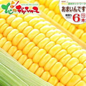【予約】 とうもろこし あまいんです 6本入り(南幌町明るい...