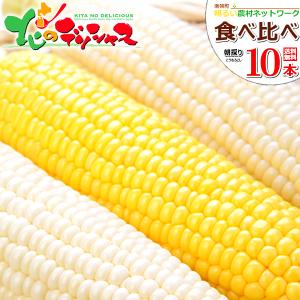 【予約】 とうもろこし 食べ比べ 10本 (白5本・黄5本/冷蔵便) 北海道産 南幌町明るい農村ネットワーク 朝採り トウモロコシ フルーツコーン お取り寄せ
