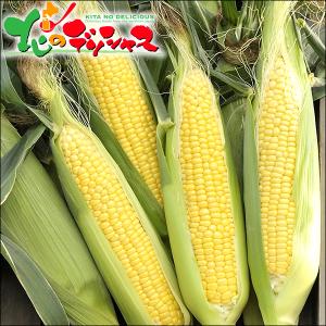 【順次出荷中】とうもろこし 食べ比べ 6本 (...の詳細画像3