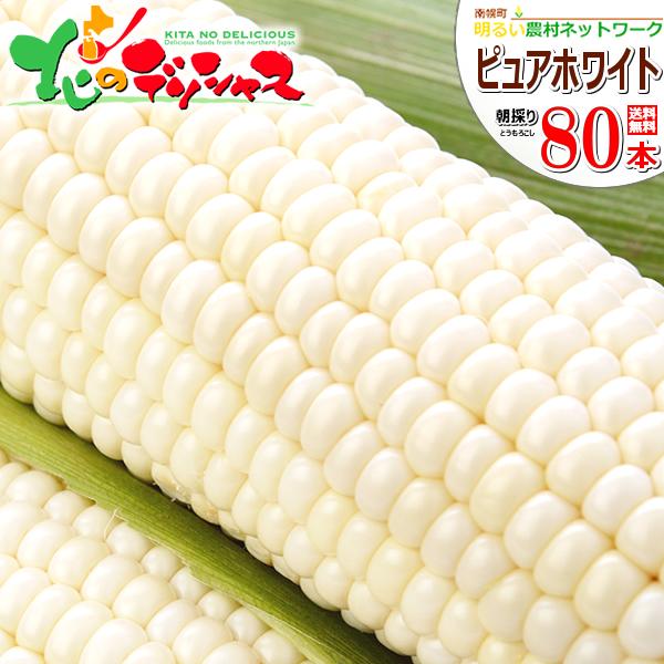 【予約】とうもろこし ピュアホワイトSP 80本 (クール冷蔵便) 北海道産 南幌町明るい農村ネット...