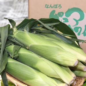 【予約】生産者さん応援! 北海道産 南幌町 ご...の詳細画像5