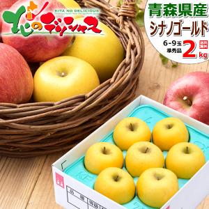 予約】 山形県産 りんご はるか 3kg (秀品/8玉〜12玉入り) 2026 旬 蜜
