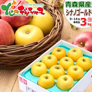 【予約】青森県産 ご家庭用 りんご シナノゴールド 3kg (準秀品/9玉〜14玉入り) 旬 リンゴ 訳あり わけあり 自宅用 果物 フルーツ お取り寄せ｜g-hokkaido