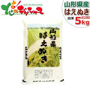 山形県産 はえぬき 令和5年産 白米 5kg 1等米 米 お米 精米 精白米 ギフト 贈り物 お礼 お返し 人気 山形県 食品 グルメ お取り寄せ｜g-hokkaido