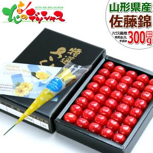 【予約】父の日 プレゼント 山形県産 さくらんぼ 佐藤錦 300g (クール便/特秀品/2L/手詰め) 2024 ギフト フルーツ 黄色いバラ 父の日カード お取り寄せ｜北のデリシャス