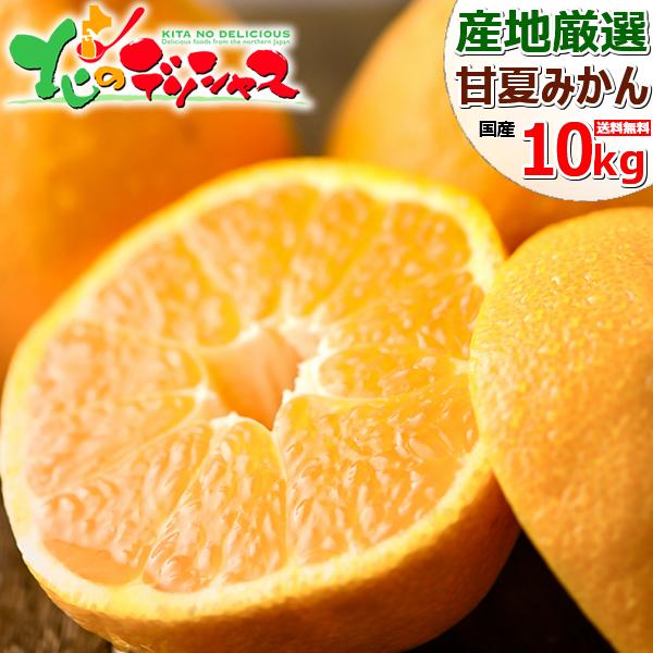 【出荷中】産地厳選 国産 甘夏 10kg 秀品 蜜柑 柑橘類 みかん ミカン あまなつ アマナツ 甘...