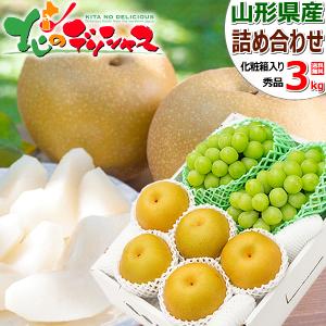 【予約】山形の果実 2色詰め合わせ Cセット (秀品/和梨＆シャインマスカット) 山形県産 和梨 ギフト 贈り物 お祝い 内祝い 山形県 果物 フルーツ お取り寄せ