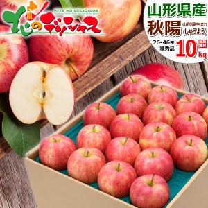 予約】青森県産 ご家庭用 りんご サンふじ 5kg (訳あり/13玉〜23玉入り