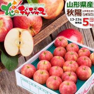 予約】青森県産 ご家庭用 りんご サンふじ 5kg (訳あり/13玉〜23玉入り