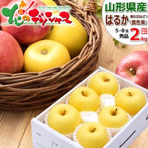 【予約】 山形県産 りんご はるか 2kg (秀...の商品画像