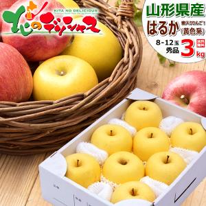 【SANTAさん専用】冬恋（はるか）！岩手県産家庭用りんご2kg以上×2箱 そばかすりんご 冬恋はるか 自家用 （サビあり） 約2.5kg 【1666