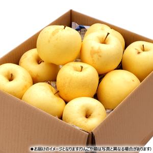 【予約】 山形県産 ご家庭用 りんご はるか ...の詳細画像3