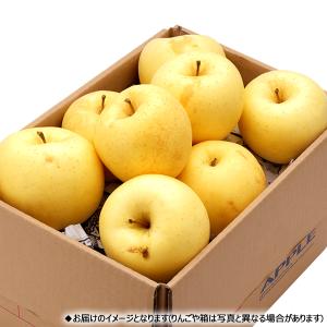 【予約】 山形県産 ご家庭用 りんご はるか ...の詳細画像3
