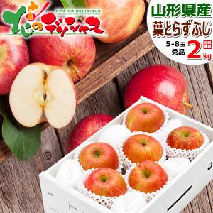 りんご サンふじ 青森産 高糖度 JA津軽みらい 特選 36入り 約10kg