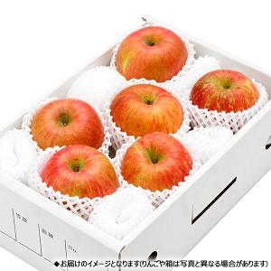 【予約】山形県産 りんご 葉とらずふじ 2kg...の詳細画像3