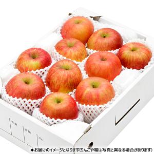 【予約】山形県産 りんご 葉とらずふじ 3kg...の詳細画像3