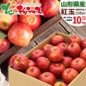 【予約】山形県産 ご家庭用 りんご 紅玉 10kg (訳あり/40玉〜60玉入り) 林檎 青森県産 産地リレー わけあり フルーツ 産地直送 送料無料 お取り寄せ｜g-hokkaido