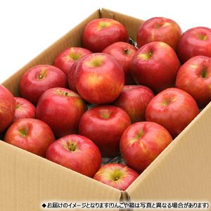【予約】山形県産 ご家庭用 りんご 紅玉 9....の詳細画像3