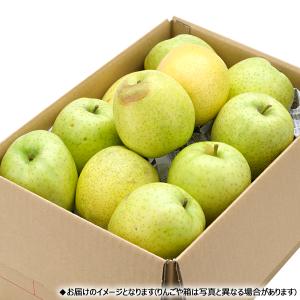 【予約】山形県産 ご家庭用 りんご 王林 5k...の詳細画像3