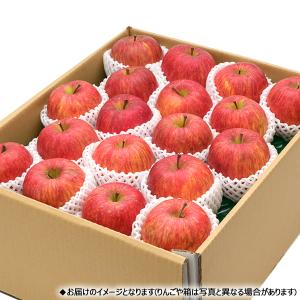 【予約】山形県産 りんご サンふじ 10kg ...の詳細画像1