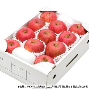 【予約】山形県産 りんご サンふじ 3kg (...の詳細画像1