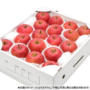【予約】山形県産 りんご サンふじ 5kg (...の詳細画像1