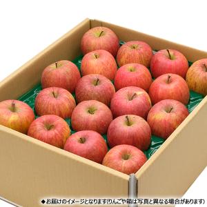 【予約】 山形県産 ご家庭用 りんご サンふじ...の詳細画像1